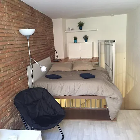 Apartment Le Petit Moulin, Duplex Hypercentre